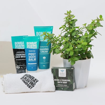 Green and Groomed Hamper with Jade Plant
