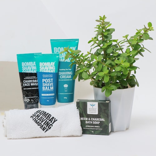Buy Green and Groomed Hamper with Jade Plant
