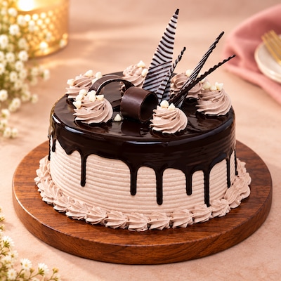 Choco Nova Cake
