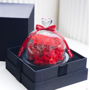 Red Preserved Rose With Box