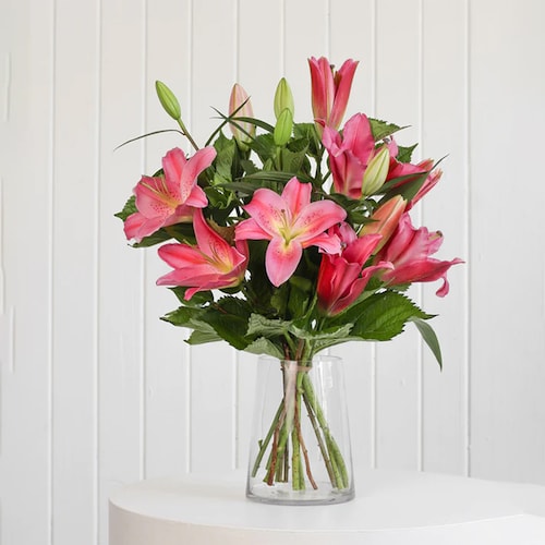 Buy Pink Lily in Vase